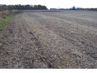 Property photo 61 - 127 Acres Offered in 8 Tracts - Allen & Dekalb County Land